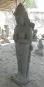 morepic-4